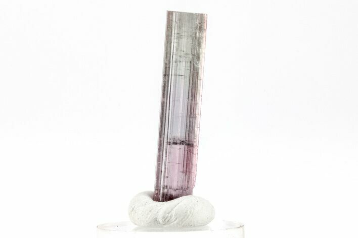 Tri-Color Elbaite Tourmaline Crystal - Aricanga Mine, Brazil #209809